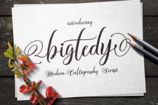 Bigtedy: A Handwritten Script That Brings Warmth to Your Brand