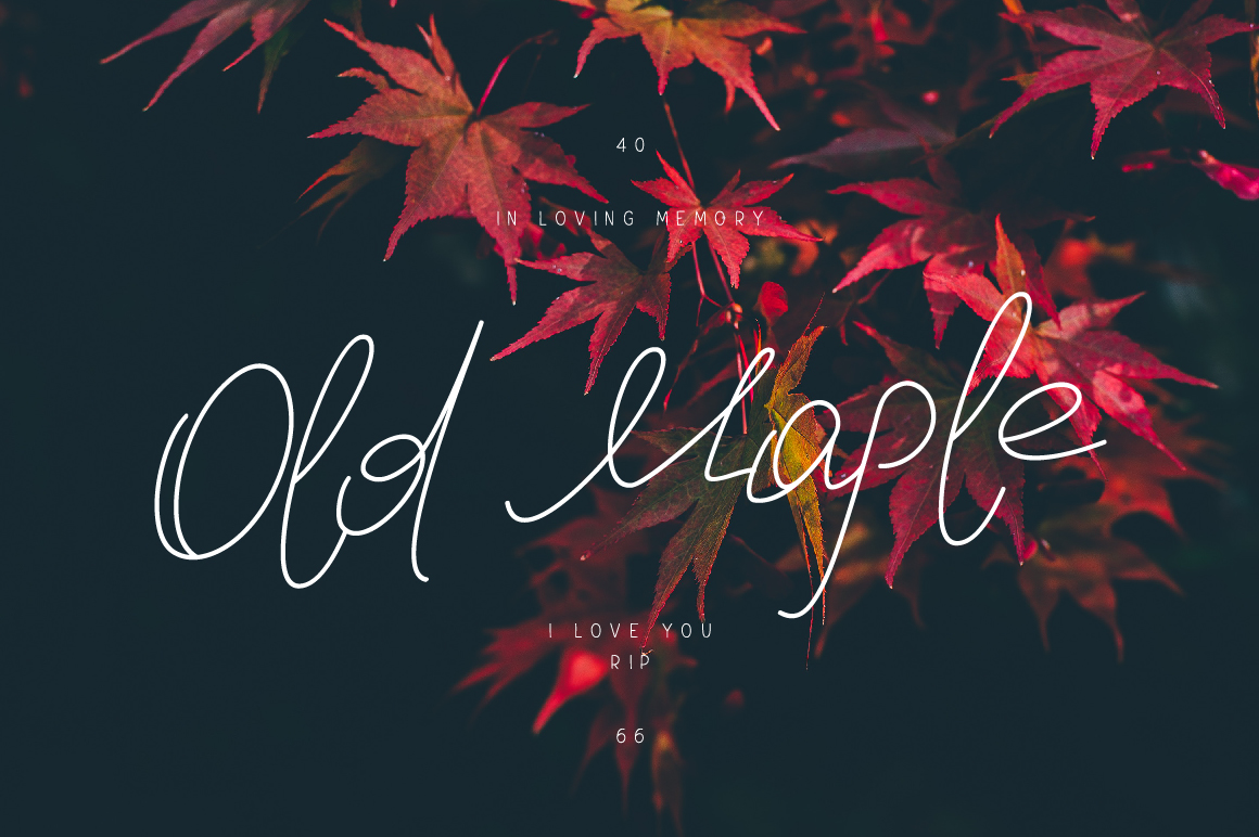 Old Maple: A Typeface Born from a Father's Notebook